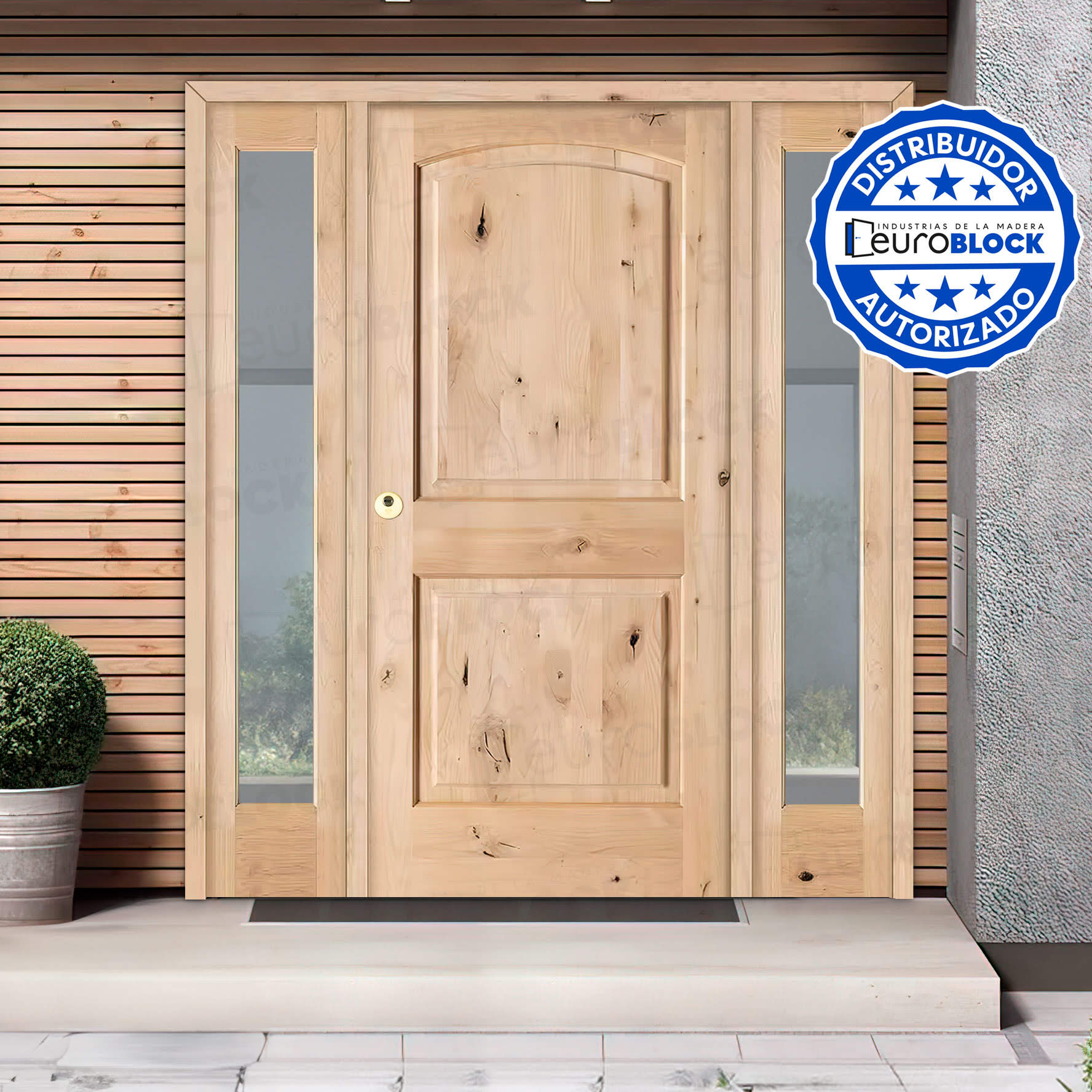 Puertas Exterior Madera