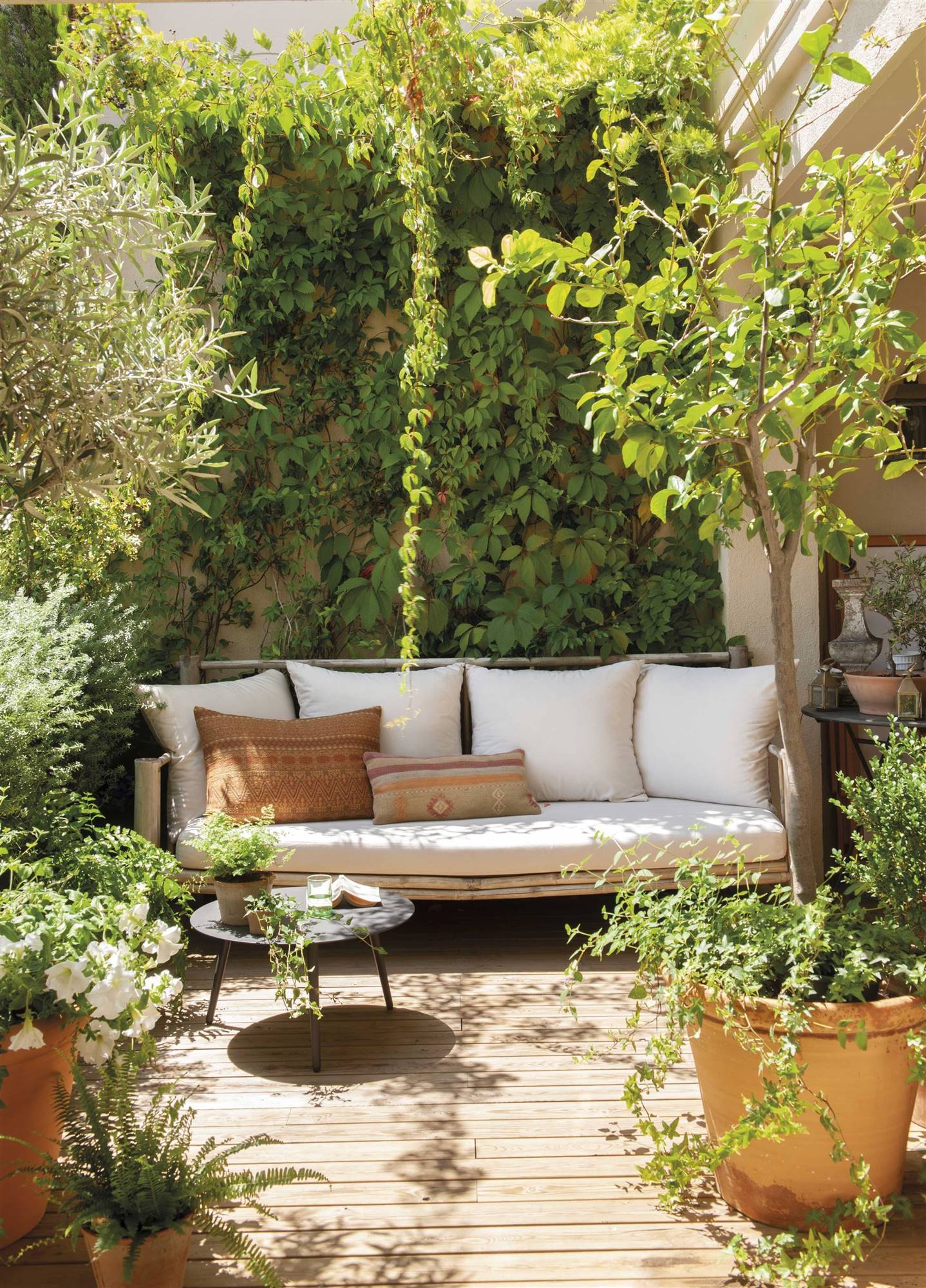 Terraza y Jardín
